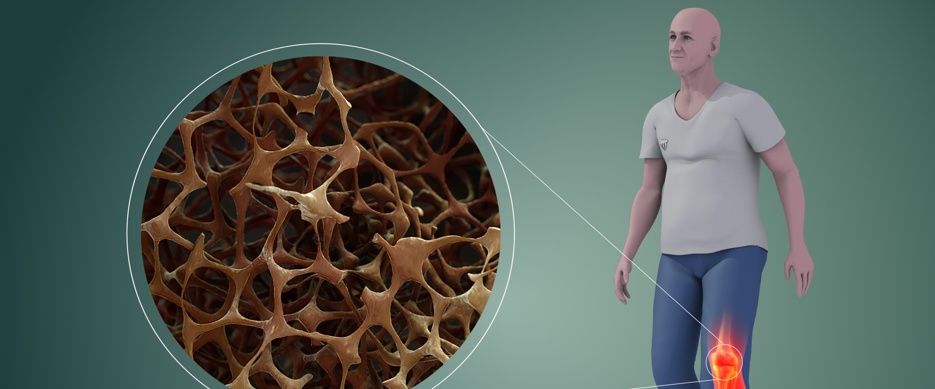 The Ayurvedic Approach to Managing Tinnitus: Dietary Changes and Natural Remedies
